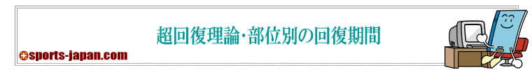 超回復理論･部位別の回復期間